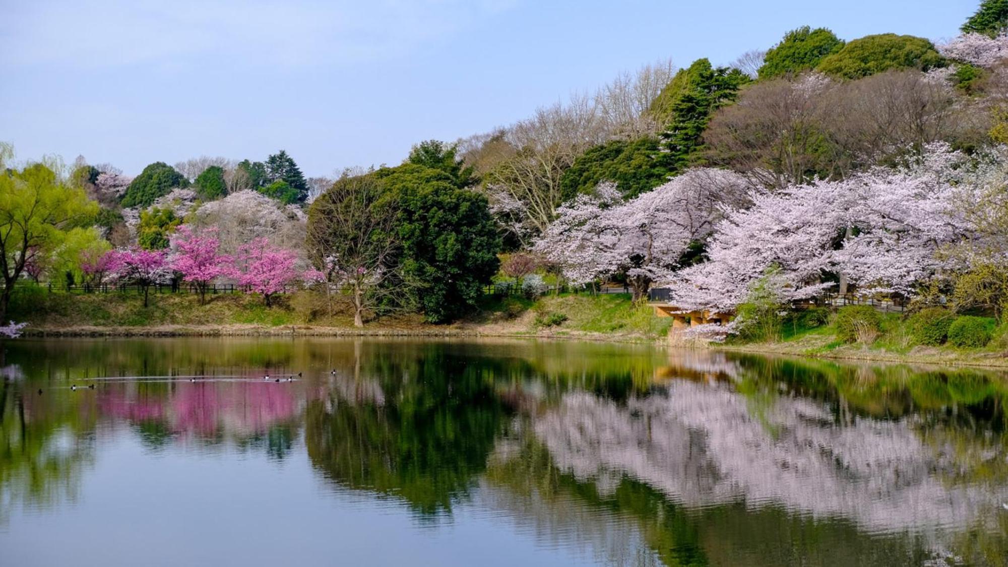 Toyoko Inn Yokohama Tsurumi Eki Higashi Guchi Eksteriør bilde